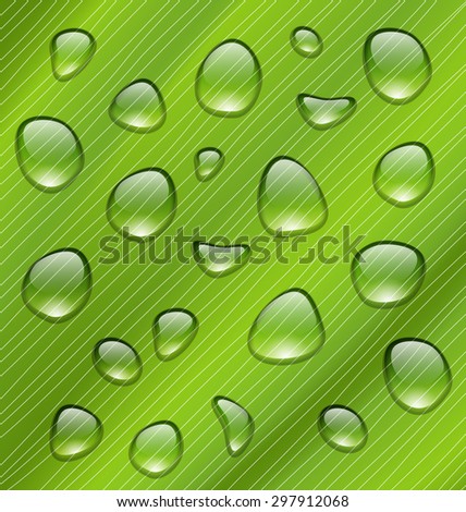 Illustration Water Drops on Fresh Green Texture of Leaf - Vector
