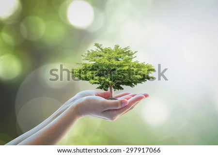 Growing tree to save ecological sustainability, sustainable environment, and corporate social responsibility CSR in nature concept with tree on volunteer's hand Royalty-Free Stock Photo #297917066