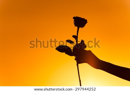 Silhouette of person holding a single rose. 