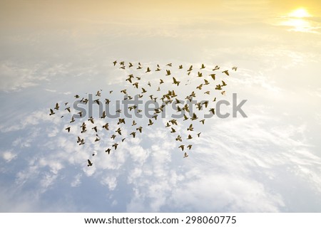 Crowd of birds flying on sky arrow shape , growth development progress success business team work concept , nature art abstract background Royalty-Free Stock Photo #298060775