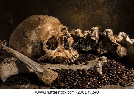 Still Life with a Skull