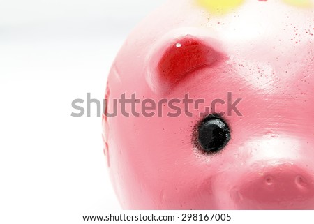close up eye of piggy bank on white background.