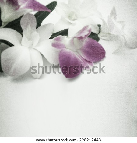 orchids in vintage color style on mulberry paper texture background
