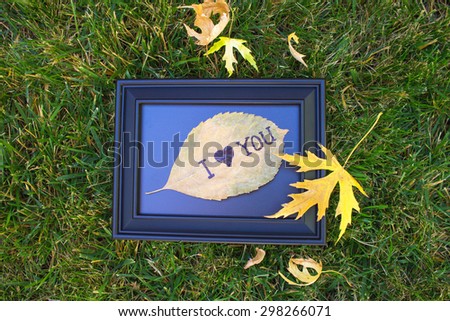 i love you leaf with picture frame on grass