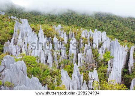 Limestone pinnacles at gunung mulu national park Royalty-Free Stock Photo #298294934
