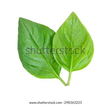 Pair of fresh green leaves of basil isolated on white top view Royalty-Free Stock Photo #298363223