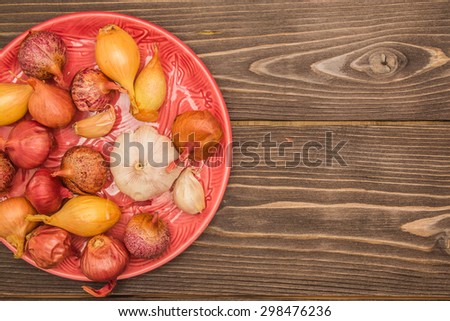 Red and yellow onion with garlic on a plate on a dark wooden background