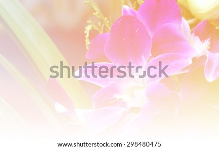 sweet flowers in soft style for background