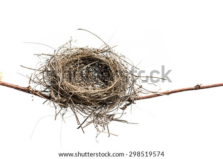 Lonely bird nest isolated on white background. Bird Nest.  Royalty-Free Stock Photo #298519574