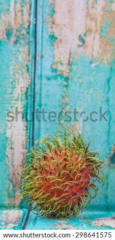 Sweet, exotic and delicious rambutan fruit over wooden background