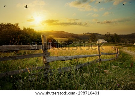 art rural landscape. field and grass  Royalty-Free Stock Photo #298710401