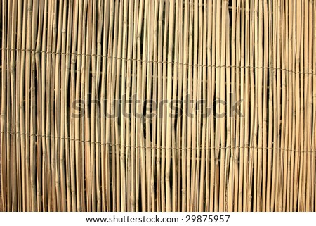 Bamboo sticks as a background.