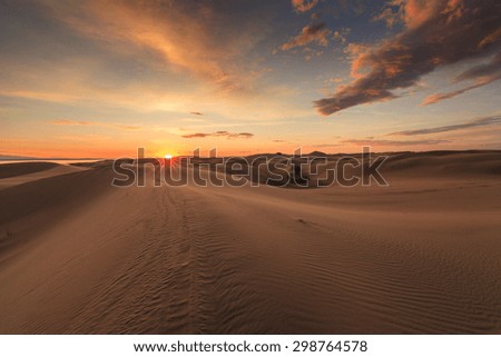 Beautiful views of the Gobi desert. Mongolia. Royalty-Free Stock Photo #298764578