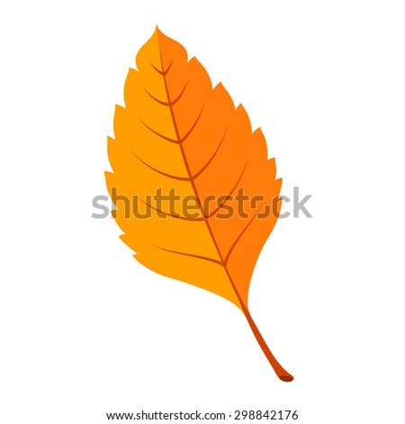 Autumn bright fall leaf. Colorful vector design element isolated on white. 