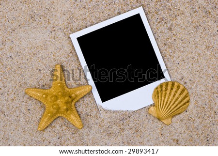 Photo frame with golden sea shells on sand background