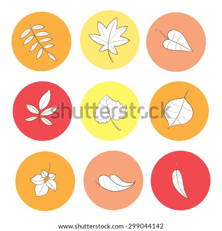 Set with the autumn isolated leaves, colorful  yellow, red and orange plant.