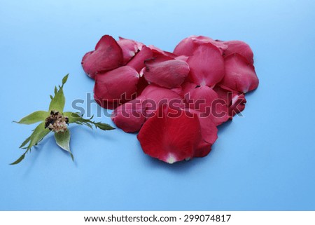 Heart shape of rose retro color, still life style