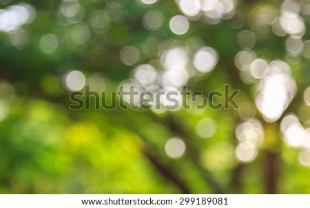 Sunny abstract green nature background, blurred bokeh.