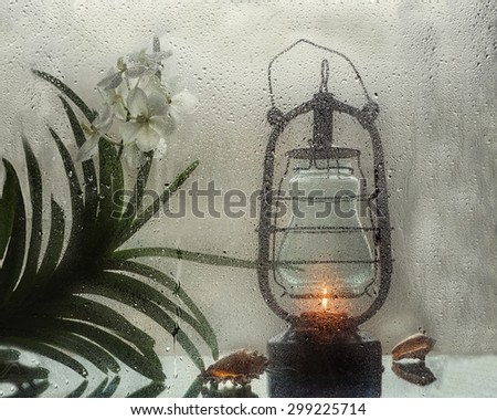Still life with white orchid and old lantern
