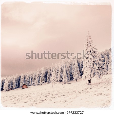 Winter landscape with snow in mountains Carpathians, Ukraine.Vintage effect