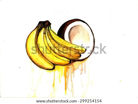 Watercolor banana and coconut. Hand drawn illustration