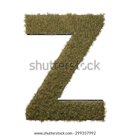 Letter Z made of dead grass, growing on wood with metal frame
