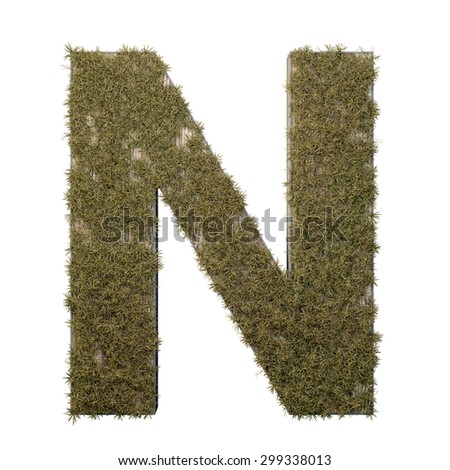 Letter N made of dead grass, growing on wood with metal frame
