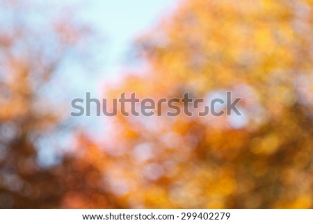 Blurred tree with leaves in orange, orange and red in front of blue sky in fall, background