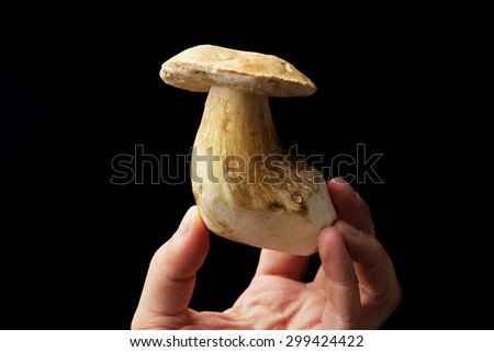 Cep holding in the hand