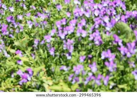Floral pattern as texture or background