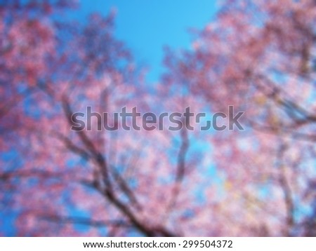 Blurred Cherry blossom trees background from ant view