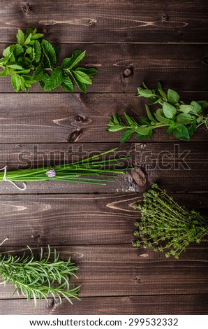 Fresh herbs from the organic garden, ready for advertising