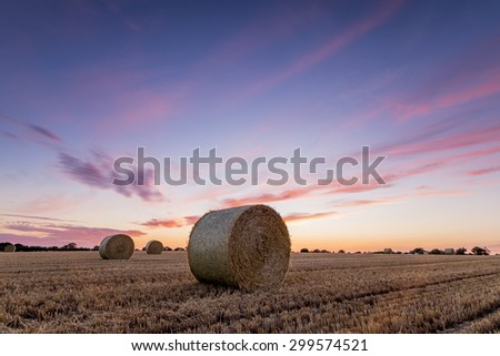 Straw Bales in a field at sunset on a summers evening. Royalty-Free Stock Photo #299574521