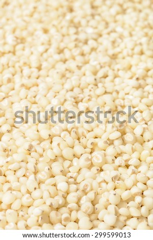 food background of sorghum, (large depth of field,take with tilt shift lens)