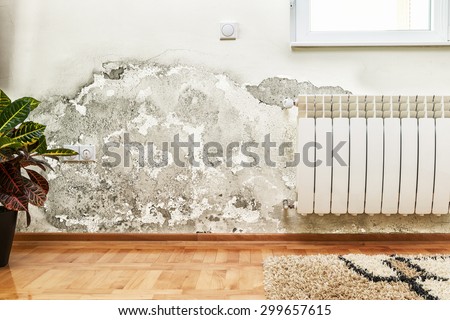Damage caused by damp on a wall in modern house Royalty-Free Stock Photo #299657615
