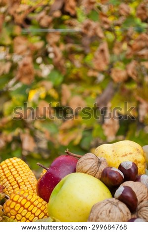 Detail of decorative composed colorful autumn fruits and vegetables with blurred background. Vertical photo