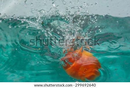Tomato in the water effect.
