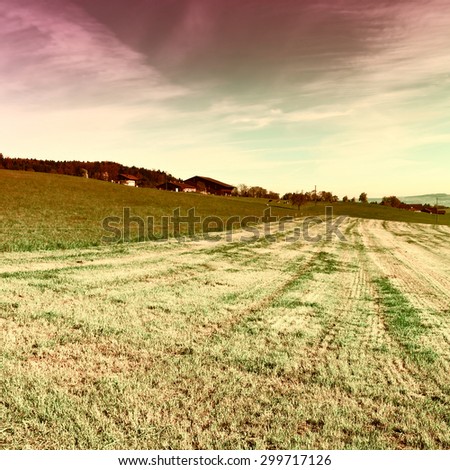 The Lines of New-mown Hay in the Swiss Alps at Sunrise, Vintage Style Toned Picture