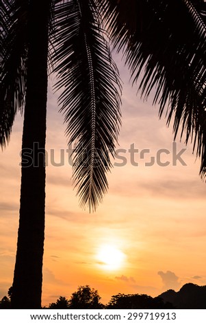 Tropical beach background with coconut palm tree silhouettes at sunset