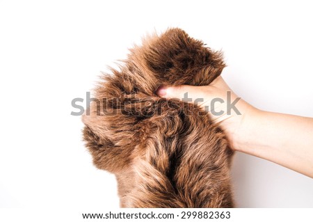 Fur, Animal Skin (Wolf, Fox), Brown. Hand Holding. Concept and Idea of Animal Mountain Wildlife, Hunting, Anti Fur, Fashion and Leather Industry or For Background, Textures. Isolated on White.