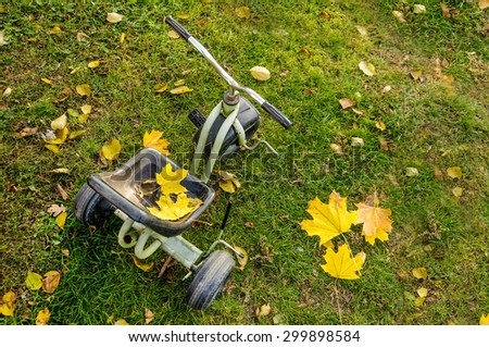 Autumn child bike over grass and yellow leaves