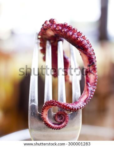 Macro of the octopus tentacle on the fork.