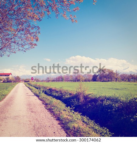 Asphalt Road Leading to the Farmhouse in Piedmont, Italy, Instagram Effect