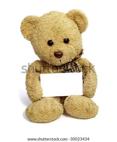 close up of teddy bear holding blank note card on white background with clipping path
