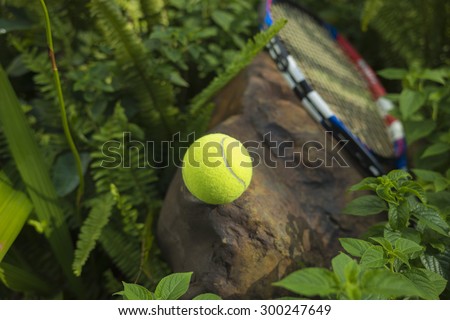 Tennis ball on top of a rock. Concept of green and healthy 