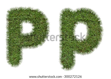 Grass Letter P,p  isolated on white background