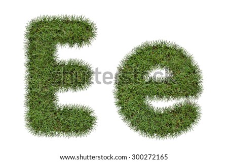 Grass Letter E,e  isolated on white background