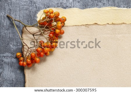 Sheets of vintage paper and rowan berry twigs, copy space