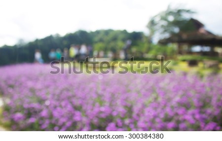 blur flower garden for use as Background