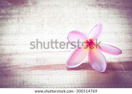 Plumeria on the wooden floor-vintage effect style pictures